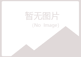 鹤壁鹤山字迹化学有限公司